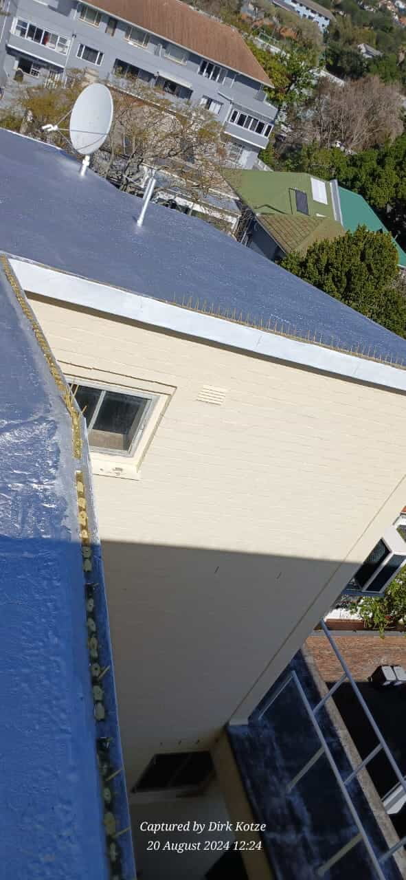 Exterior Maintenance