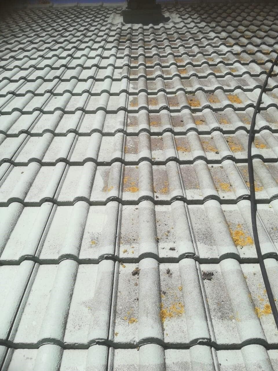 Pressure Wash